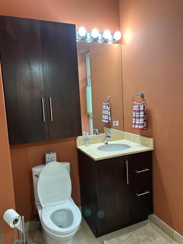 Gorgeous North Kenwood Hyde Park Unit Apartamento Chicago
